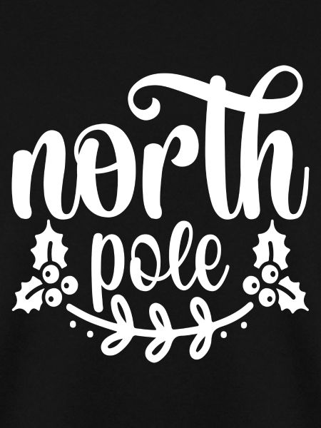 Pôle nord