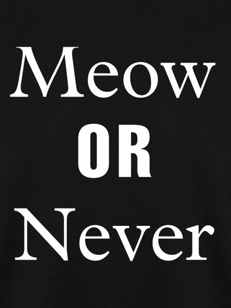 Meow or Never