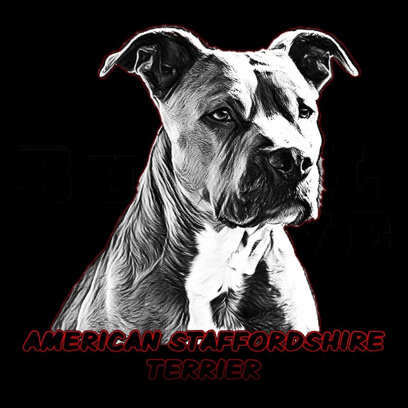 American Staffordshire Terrier