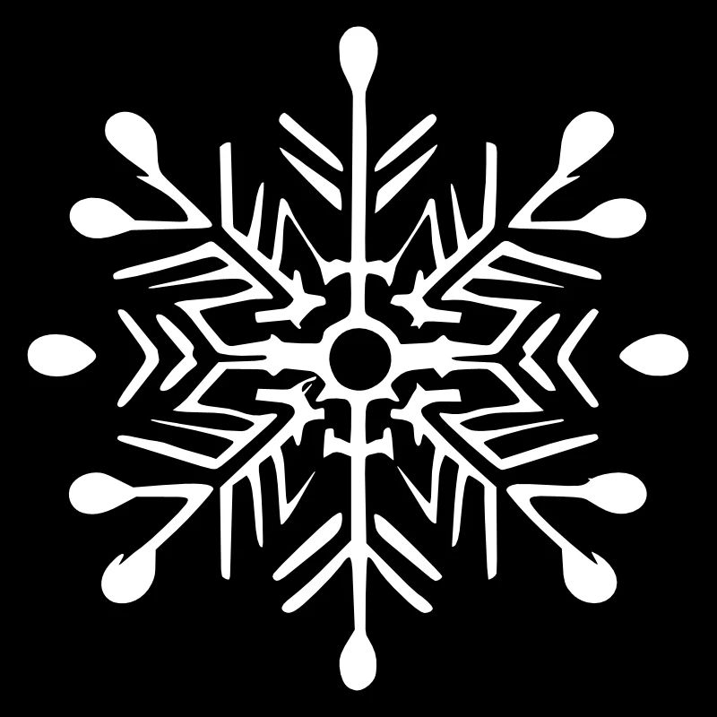 Snowflake Snow Winter Christmas Vector 2