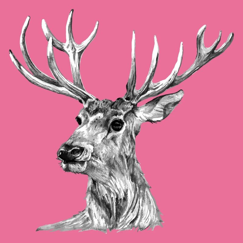 Hirsch