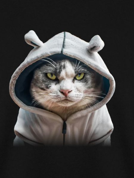grimmige Katzte mit Hoodie