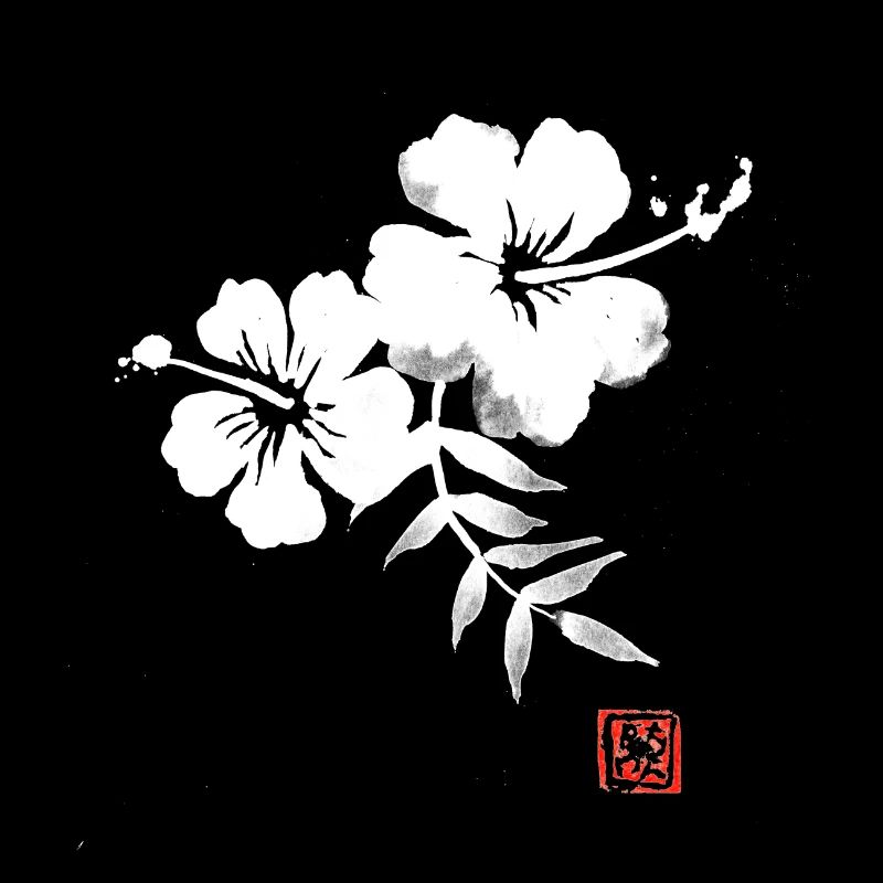 Hibiskus Weiß