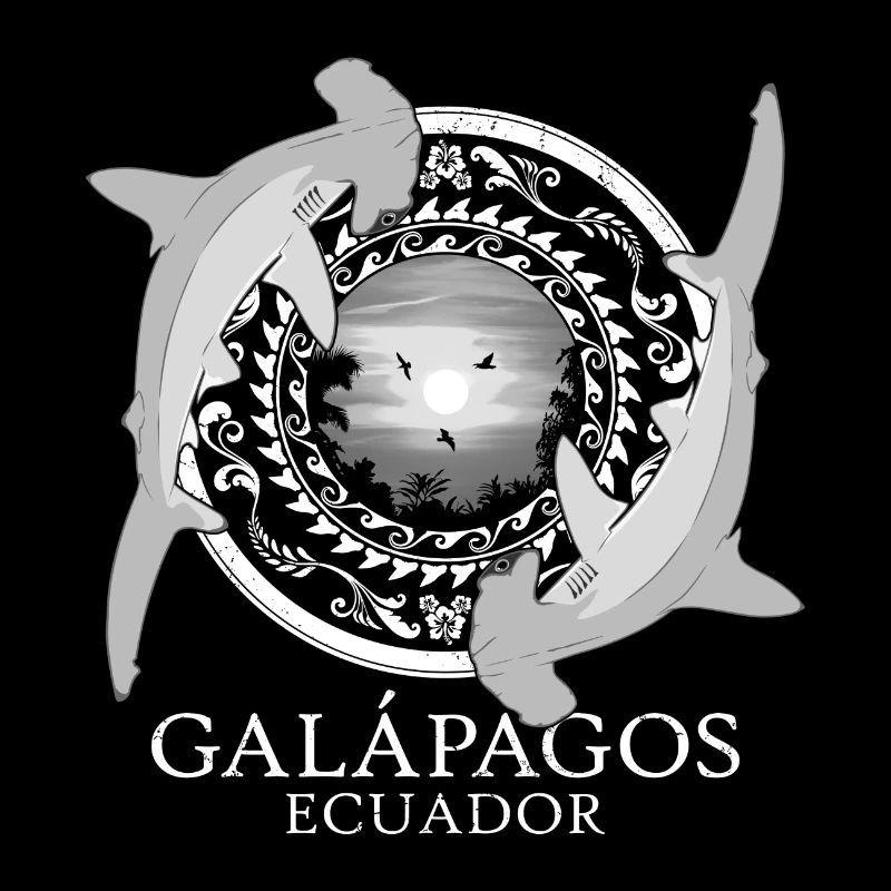 Hammerhead shark Galápagos Ecuador