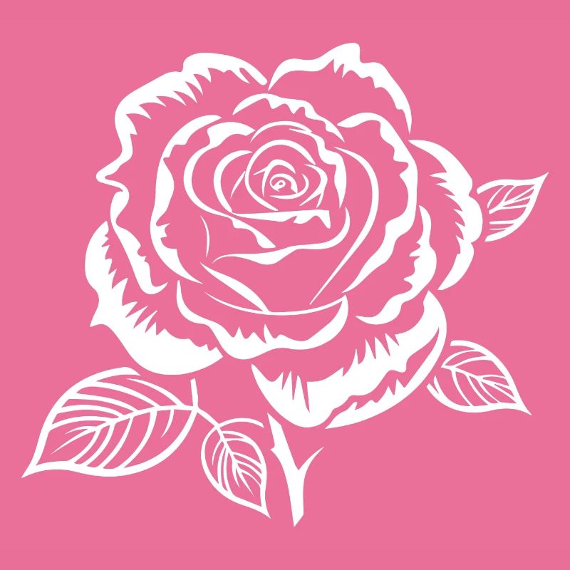 Weiße Rose