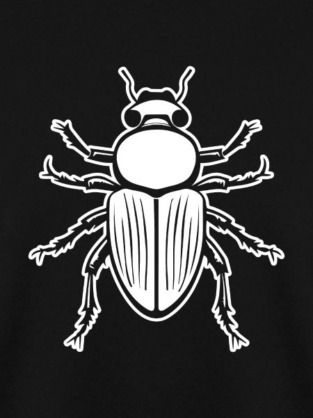 Insekten Krabbeltiere Arthropoden