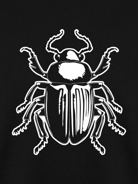 Insekten Krabbeltiere Arthropoden