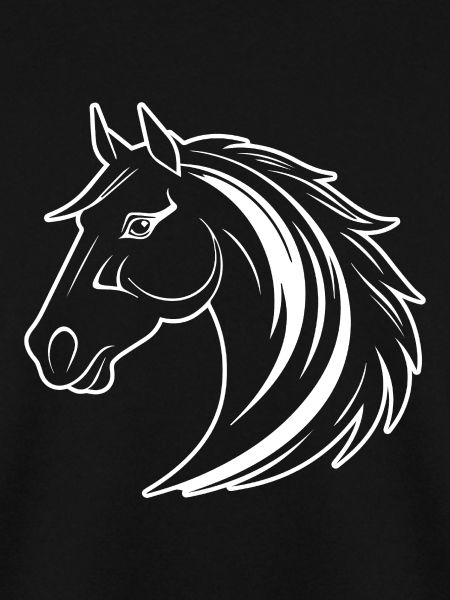 Pferd Pferdekopf Pony