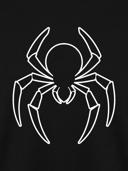 Spinne Spinnen Tiere