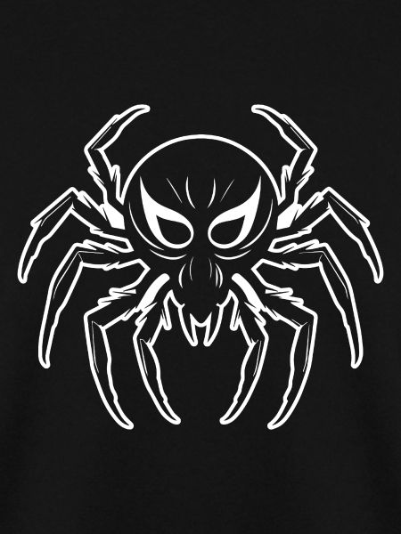 Spinne Spinnen Tiere