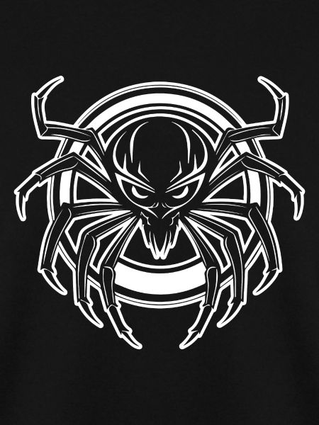 Spinne Spinnen Tiere