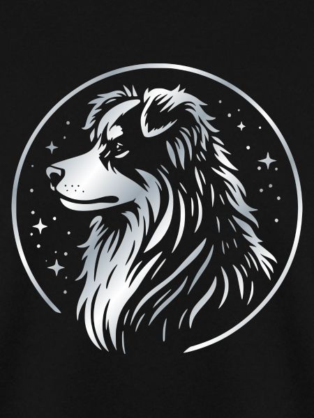 Dream dog Aussie silver