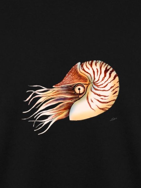 NAUTILUS