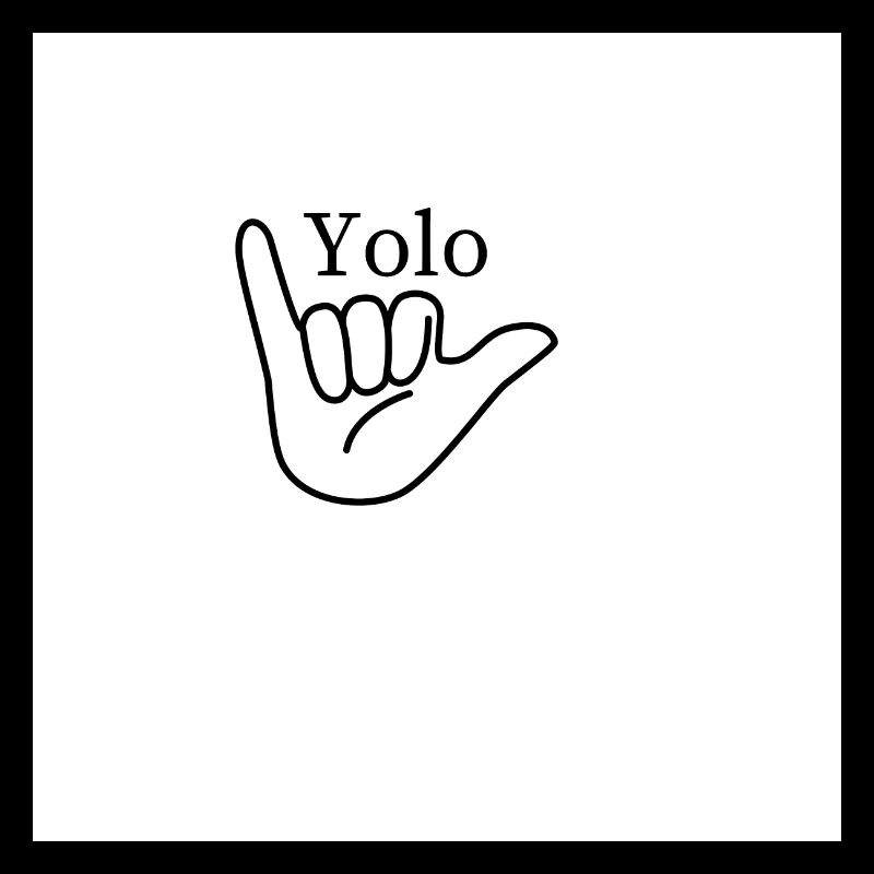 YOLO