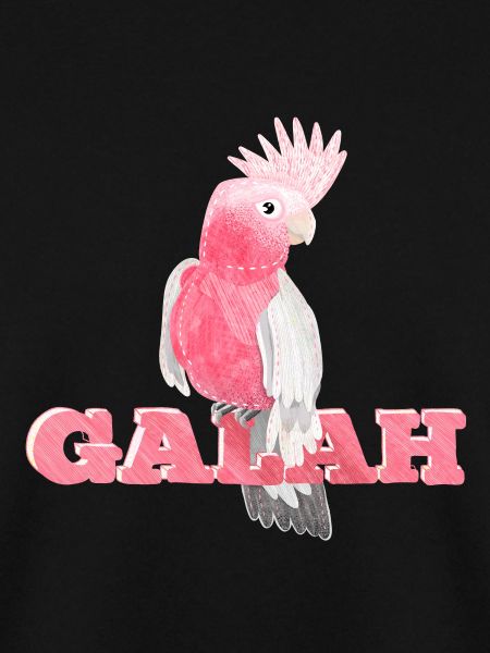 Cute pink Galah