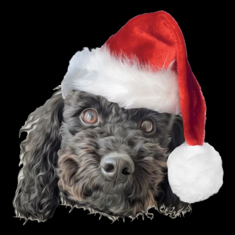 caniche mignon mignon avec chapeau de père Noël