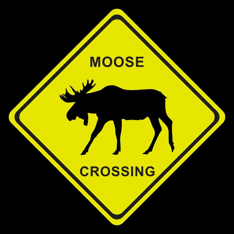 MOOSE CROSSING