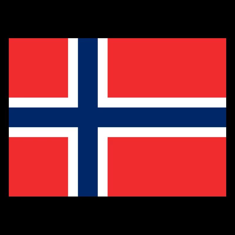 Norwegen Fahne Flagge