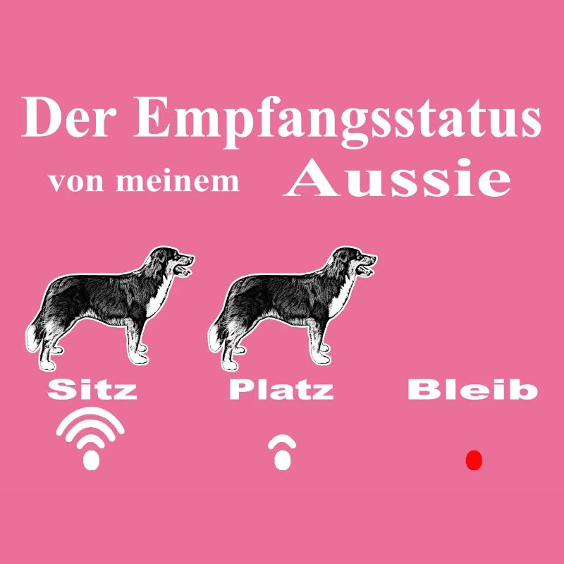 WLAN Aussie1