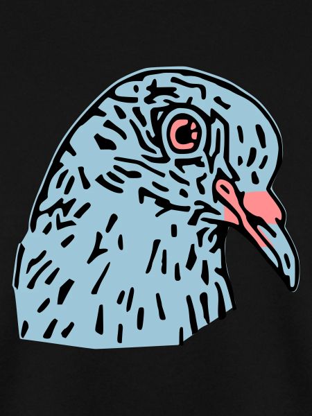 pigeonnot