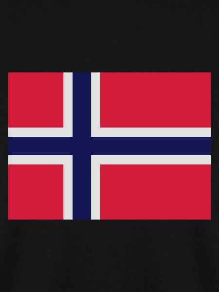 Nationalflagge von Norwegen