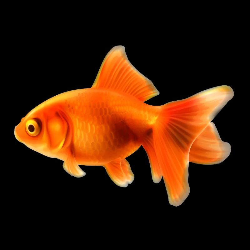 goldfisch