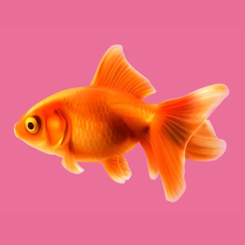 goldfisch