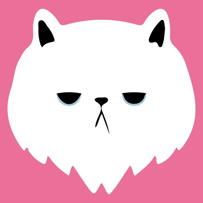 chat s'ennuie