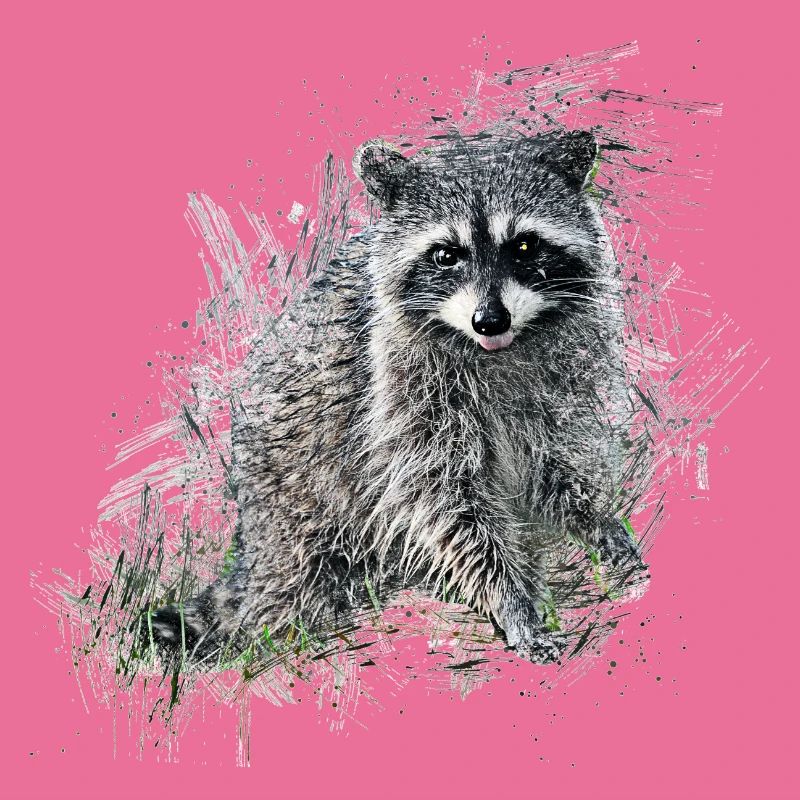 Waschbär