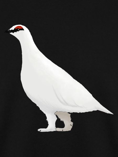 Schneehuhn