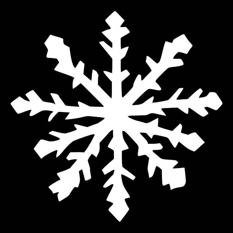 Snowflake Snow Winter Christmas Cold 14