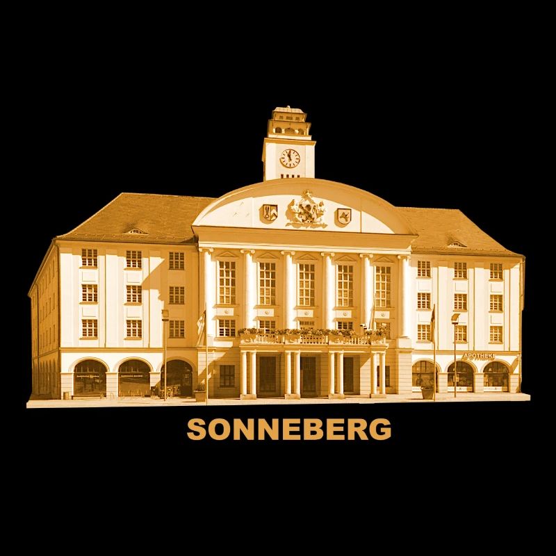 Sonneberg Town Hall Thuringia Toy City