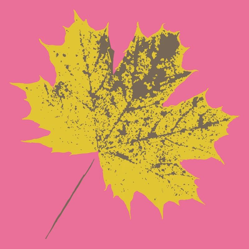 Yellow maple leaf