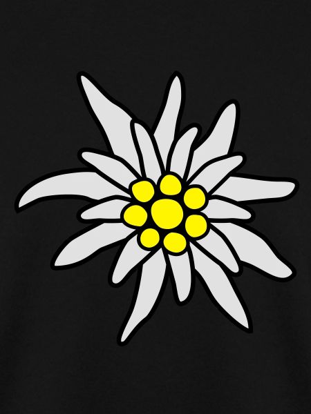 Edelweiß Blüte