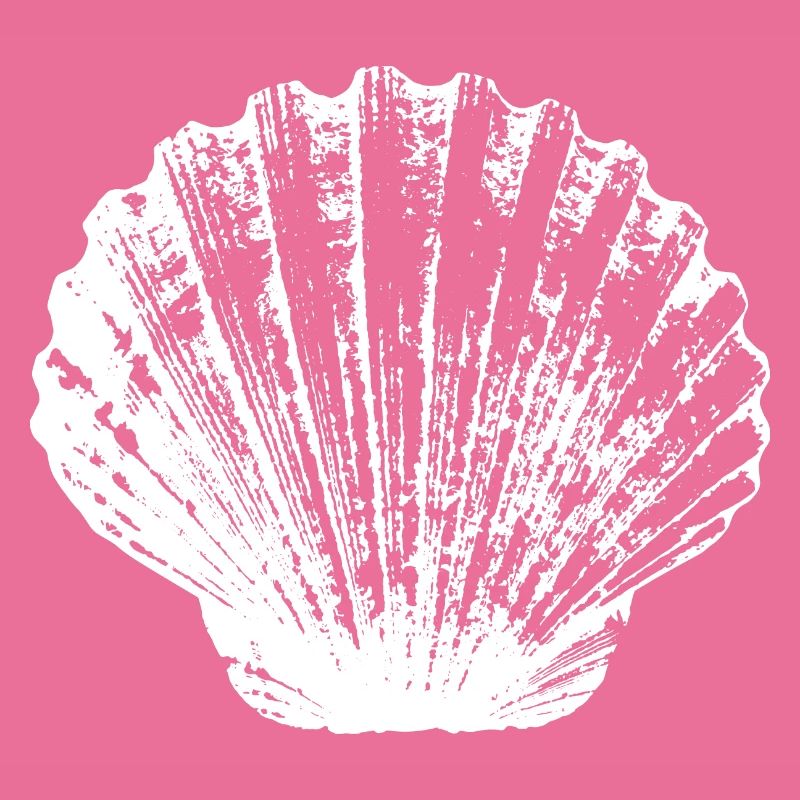 Jakobsmuschel