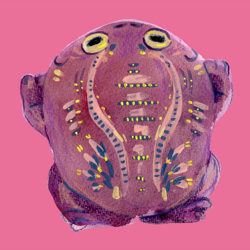 Crapaud violet