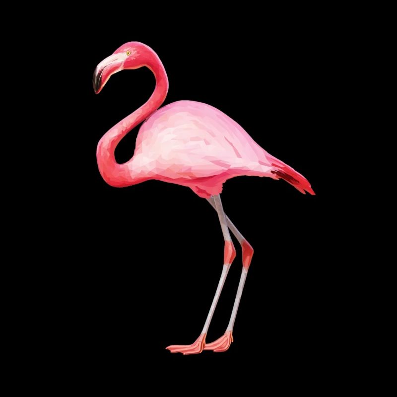 flamingo