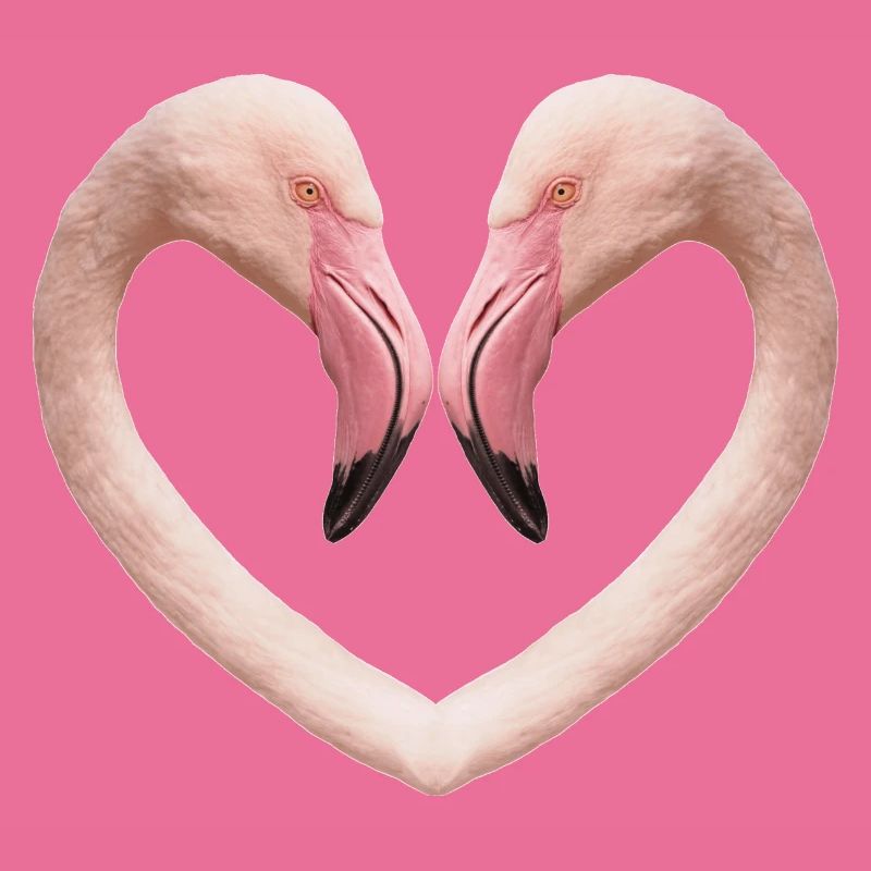 Flamingo-Herz