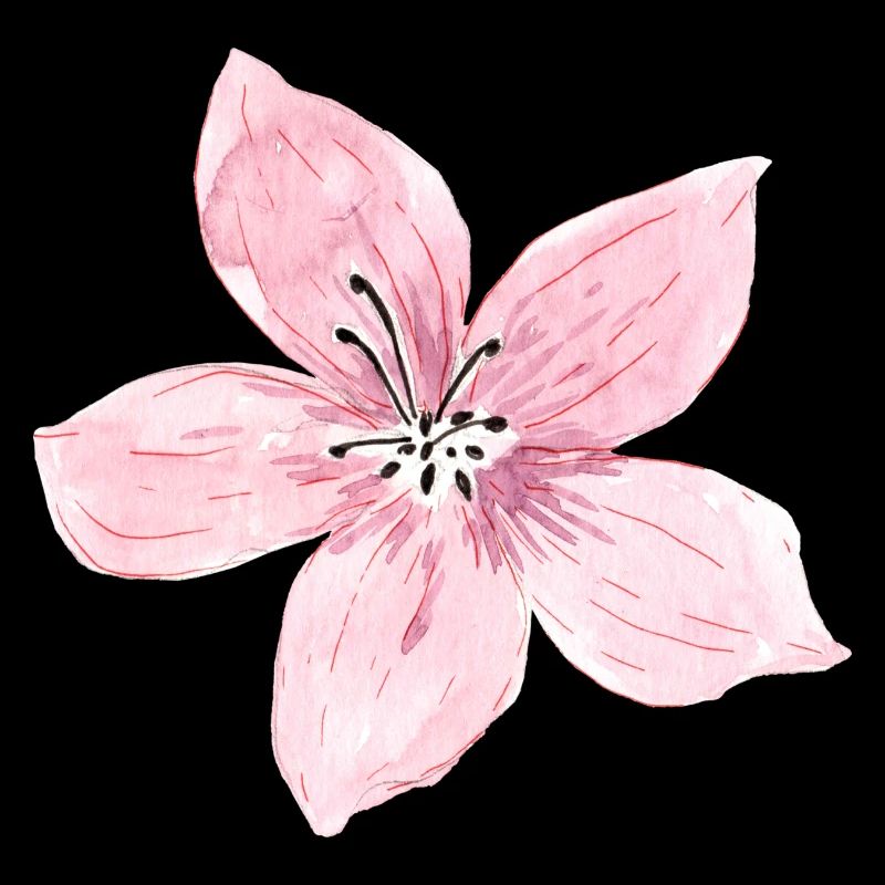 Blüte