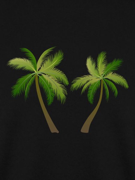 palm tree palm palms