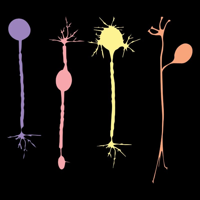 Neuron in Harmonie