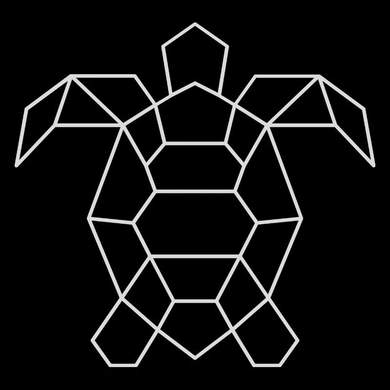 Essential unisex black turtle
