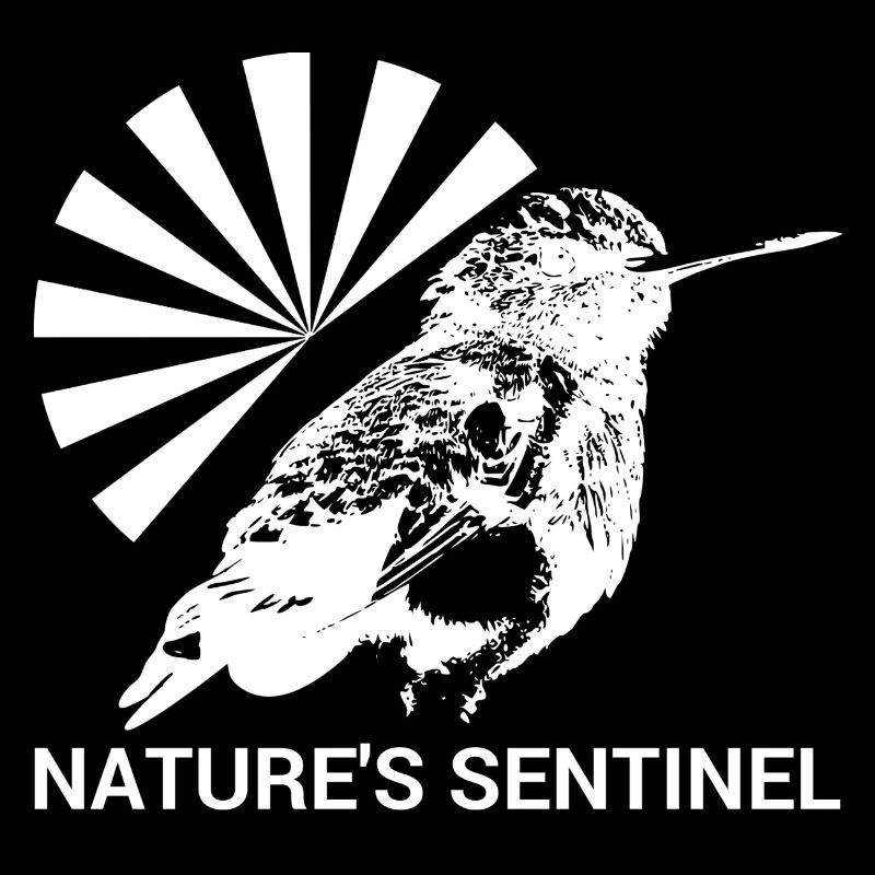 Gardiens de la nature #Kolibri
