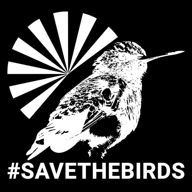 Gardiens de la nature #Kolibri #savethebirds