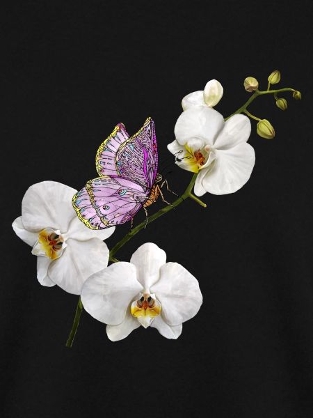 Bunter Schmetterling