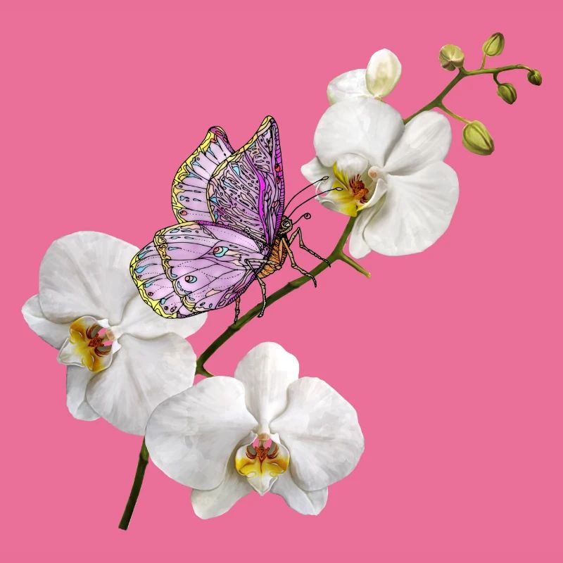 Bunter Schmetterling