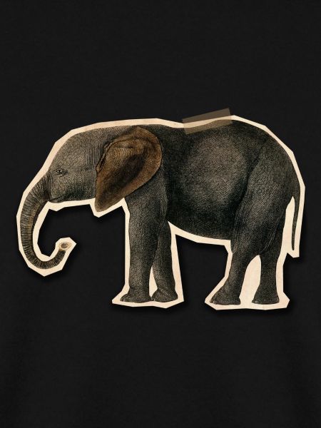 Elephant with Tape