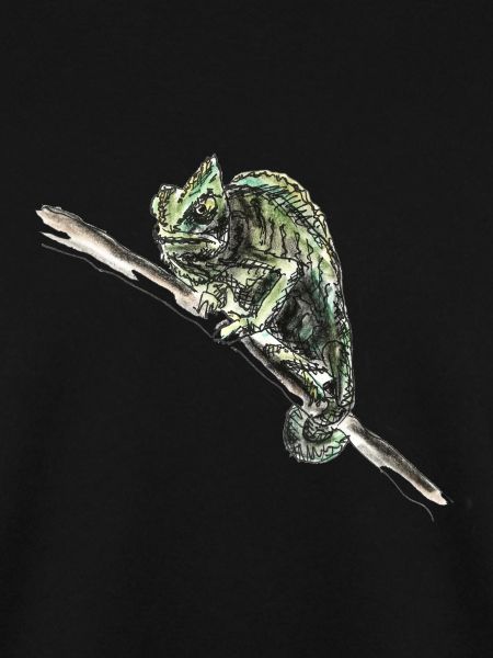 chameleon