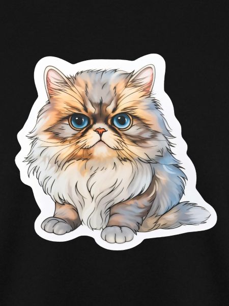 Perserkatze mollig