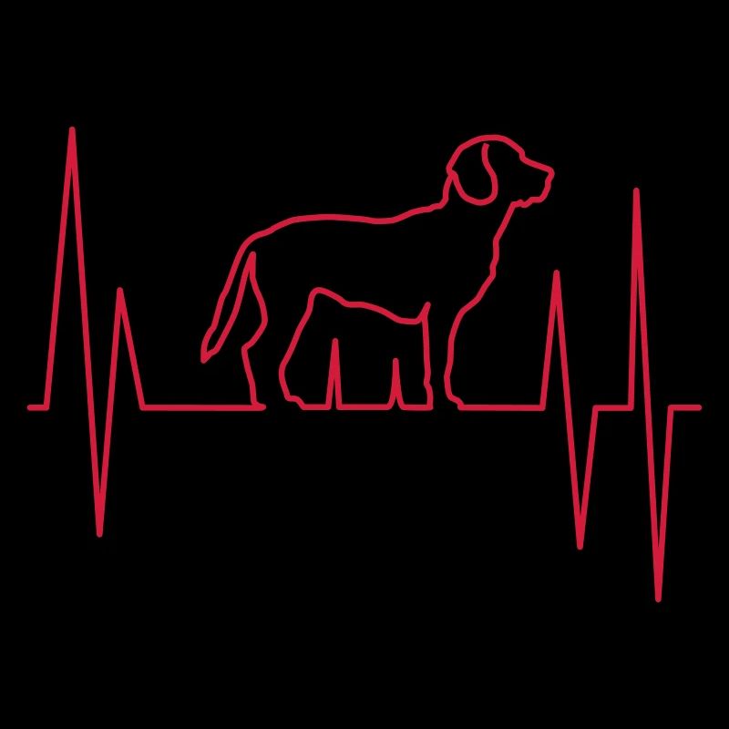 Beagle Hund EKG Liebe